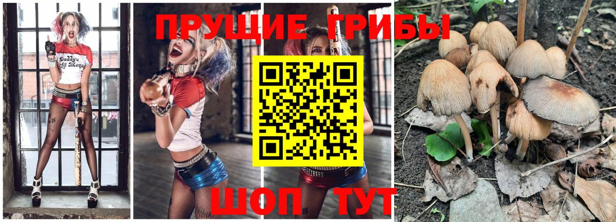 Галлюциногенные грибы Cubensis  Псилоцибиновые грибы Cubensis  Вход с VPN  Владивосток 